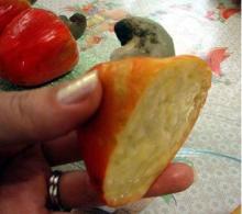RAW CASHEW NUTS IN SHELL