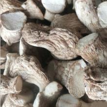 Dried Mushroom  Stem 