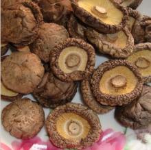  Dried   Shiitake  Mushroom