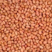 raw peanuts huge amount