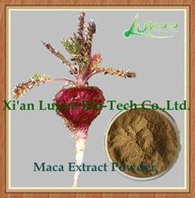 Natural Plant Extract Maca Powder Maca Root Powder