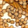 Gingko Nuts