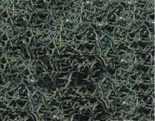 Dehydrated Green Bean