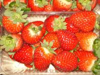 Fresh Strawberry