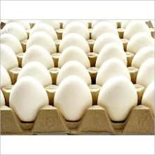 Fresh White Chicken Eggs