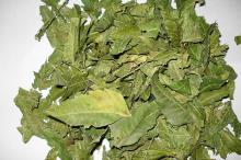 Neem Dry Leaf