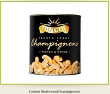 canned mushroom Tongfa brand P&S