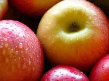 Fresh Apples From South Africa