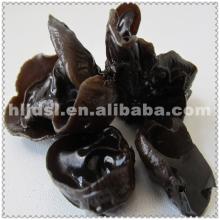 sliced black fungus