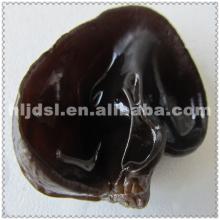 small sliced black fungus