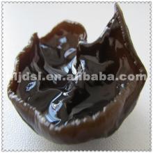dried black fungus