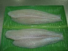 Frozen White Meat Pangasius Fillet Welltrimmed