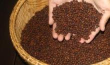 Cambodian Pepper