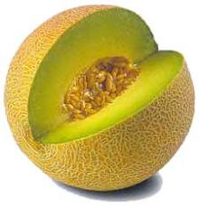  fresh   cantaloupe 