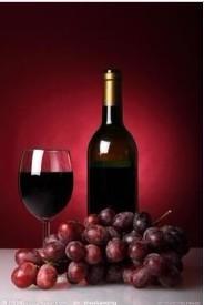 wine import to china shanghai shenzhen guangzhou hongkong service