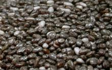  Chia   seed s ,  Chia   seed   Oil 