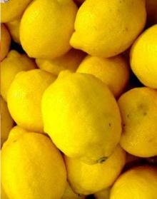 South Africa Lemon