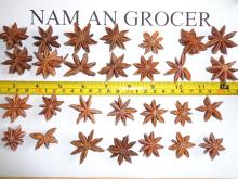 Star Aniseed - Autumn Crop