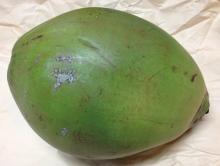 Green Coconuts (Jelly Nuts)