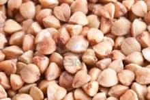 RAW GREEN BUCKWHEAT KERNEL FOR EATING
