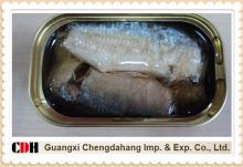155G Canned sardine in oil