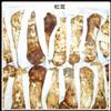 Wild Mushroom
