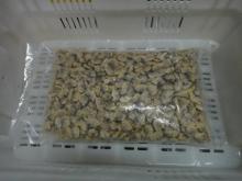 Boiled baby clam meat