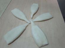 Frozen Squid clean  tube 