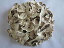  dried   white  button  mushroom 
