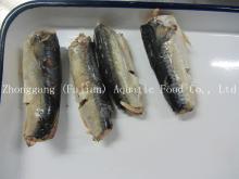 CANNED MACKEREL IN BRINE