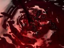 Aronia Juice Concentrate