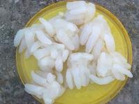 Salte  Jelly  Fish