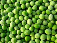 IQF Green Peas