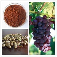 100% natural pure grape seed extract