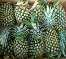 fresh pine apple