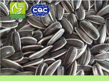  5009   SUNFLOWER   SEEDS 