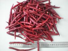 yunnan chilli 2013 new crop
