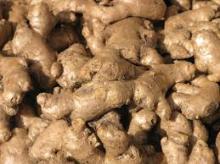 Fresh Ginger , Garlic , Onion