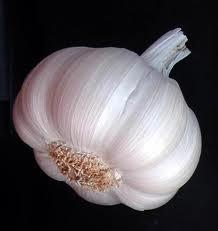 Garlic Paste , Onion , Ginger available for ready market