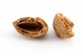 almond shell