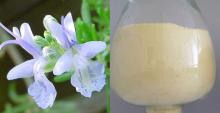 oil soluable rosemary extract carnosic acid, powder , decolored and deodored