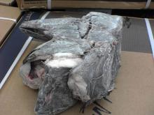Greenland halibut/turbot heads and tails