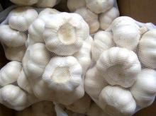 Fresh Chinese Pure White Garlic Snow White Garlic