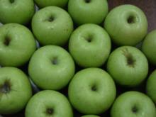 Chinese  Fresh   green   Apple 