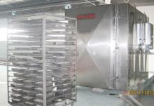 500kg per hour seafood iqf quick freezer