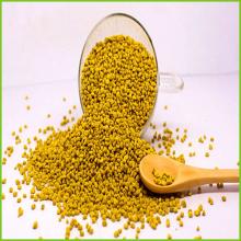 pollen  granule