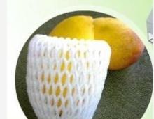 Guava Fruit Foam Protection Sleeve Net