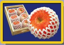 China Made Different Sizes and Colors Fruit EPE Foam Mesh Net