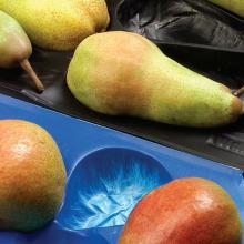39x59cm  Fresh   Produce  Packaging Tray