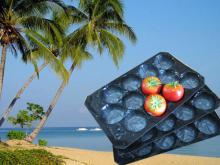 Made in China/SGS Soft Alveolar PP Trays For Fruit